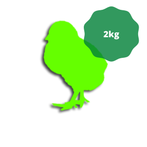 Frozen Chicks 35-45g 2kg (Approx. 50)