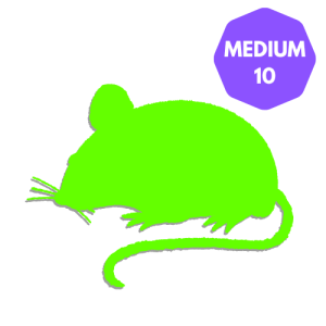 PLT Frozen Mice Medium 20g+ 10-pack