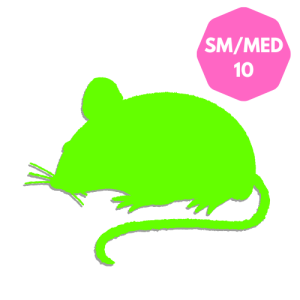 PLT Frozen Mice Small/Medium 15g+ 10-pack