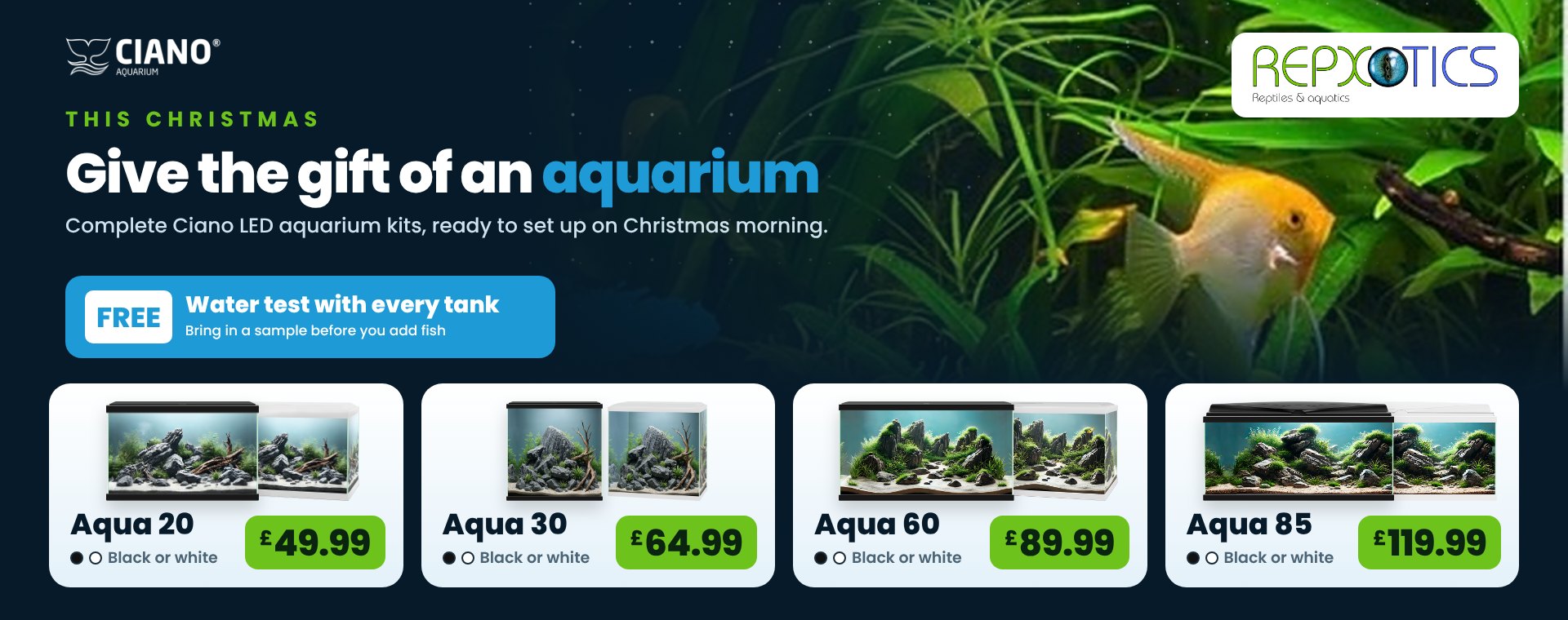 Give the gift of an aquarium this Christmas. Ciano Aqua 20 £49.99, Aqua 30 £64.99, Aqua 60 £89.99, Aqua 85 £119.99, black or white, with a free water test with every tank