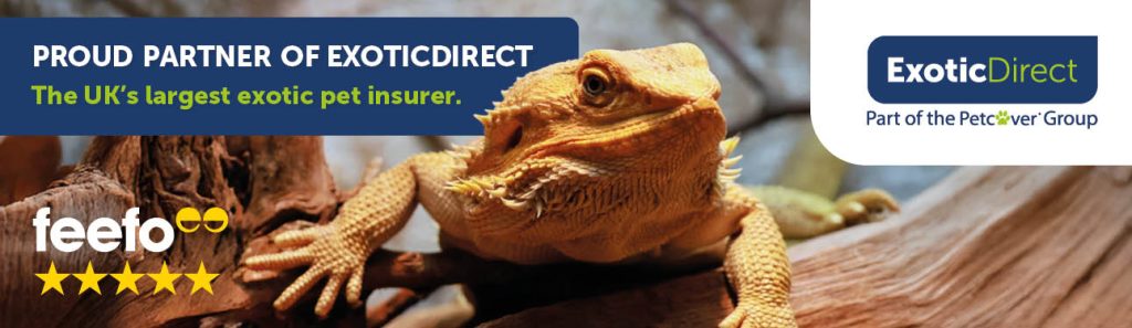 Repxotics is a proud partner of ExoticDirect, the UK's largest exotic pet insurer. Click for 15% off.