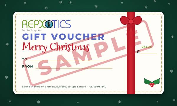 Example Repxotics Christmas gift voucher