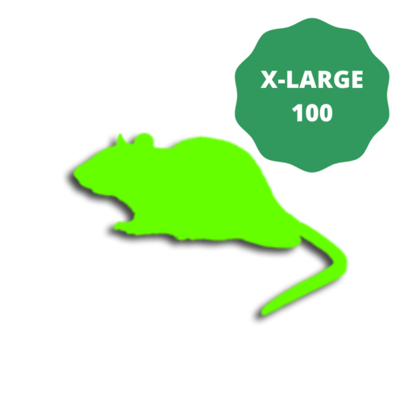Extra Large frozen rats for snakes-350g- Pack of 100