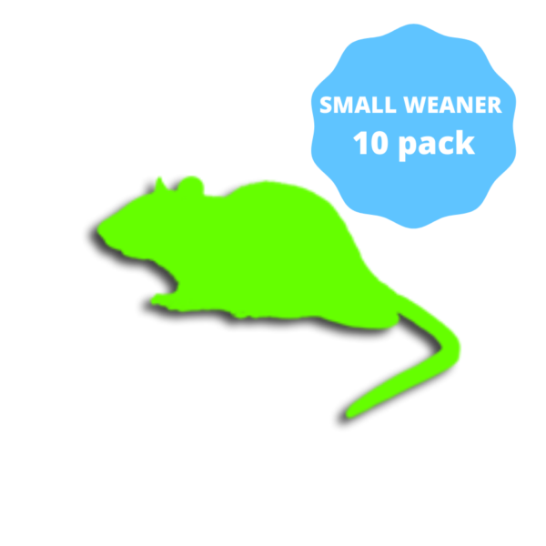 Small Weaner Frozen Rats 10 pack 26-50g